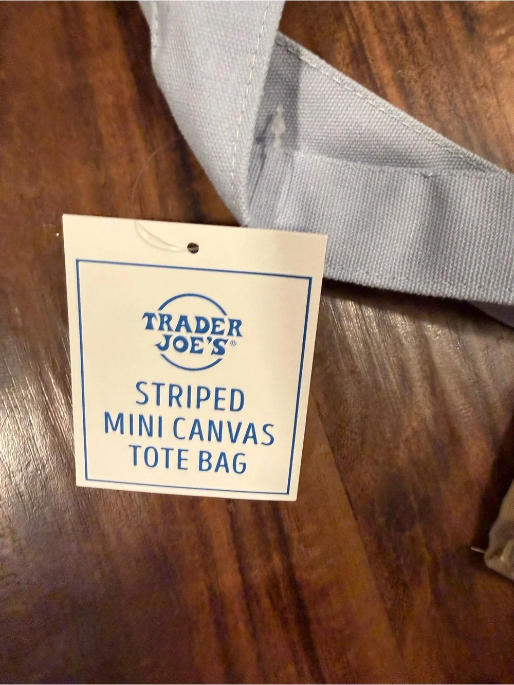 Trader Joe’s Blue and Cream Striped Canvas Mini Tote Bag